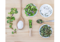 Spezie e Erbe Aromatiche